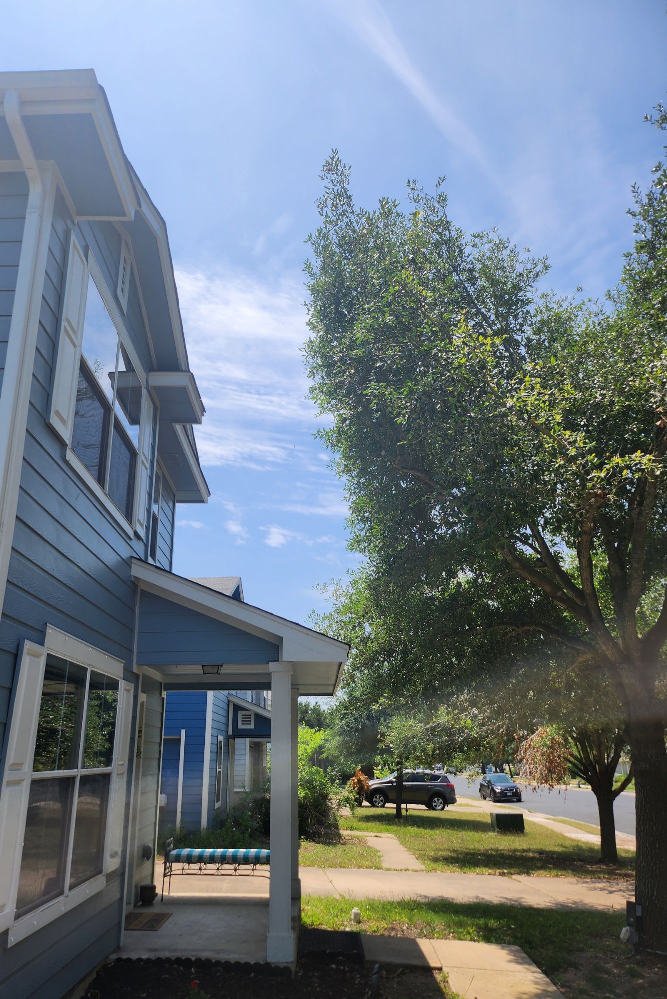 Trusted Tree Service in Pflugerville